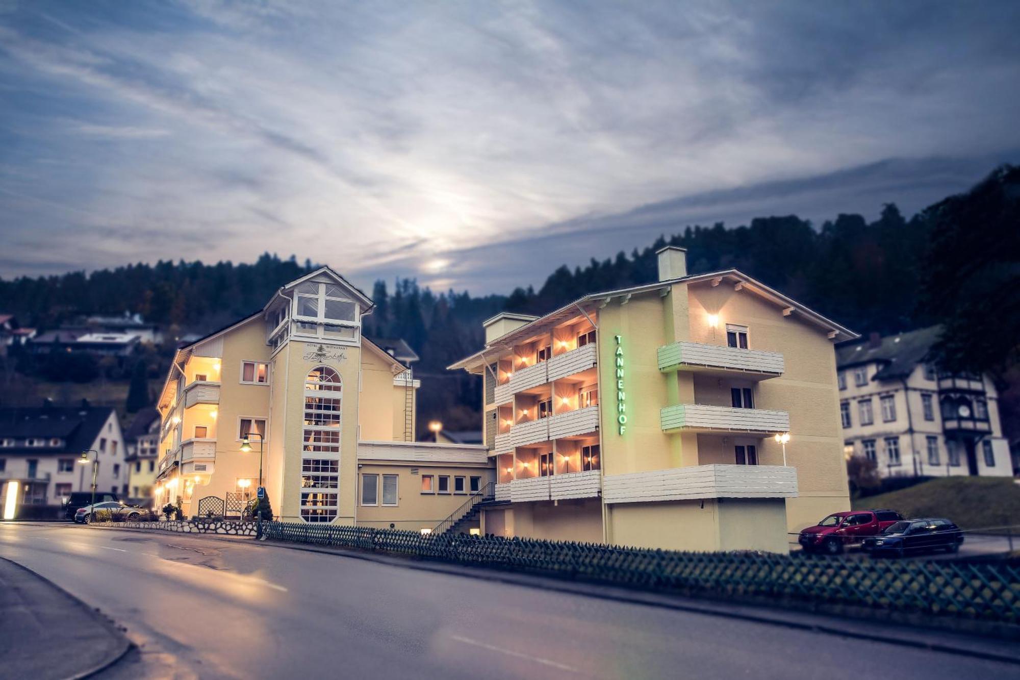 Hotel Stern Lauterbach  Exteriér fotografie